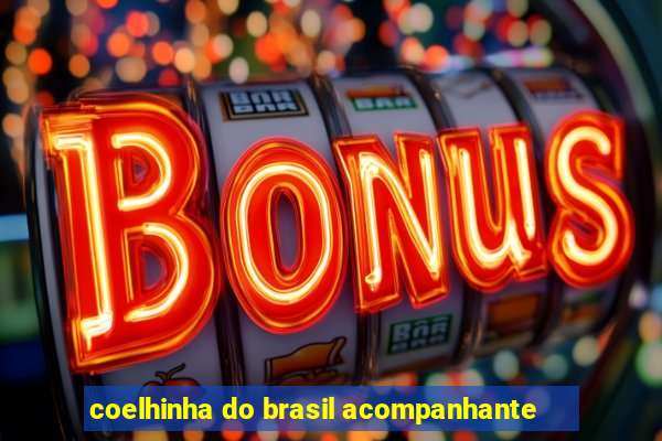 coelhinha do brasil acompanhante